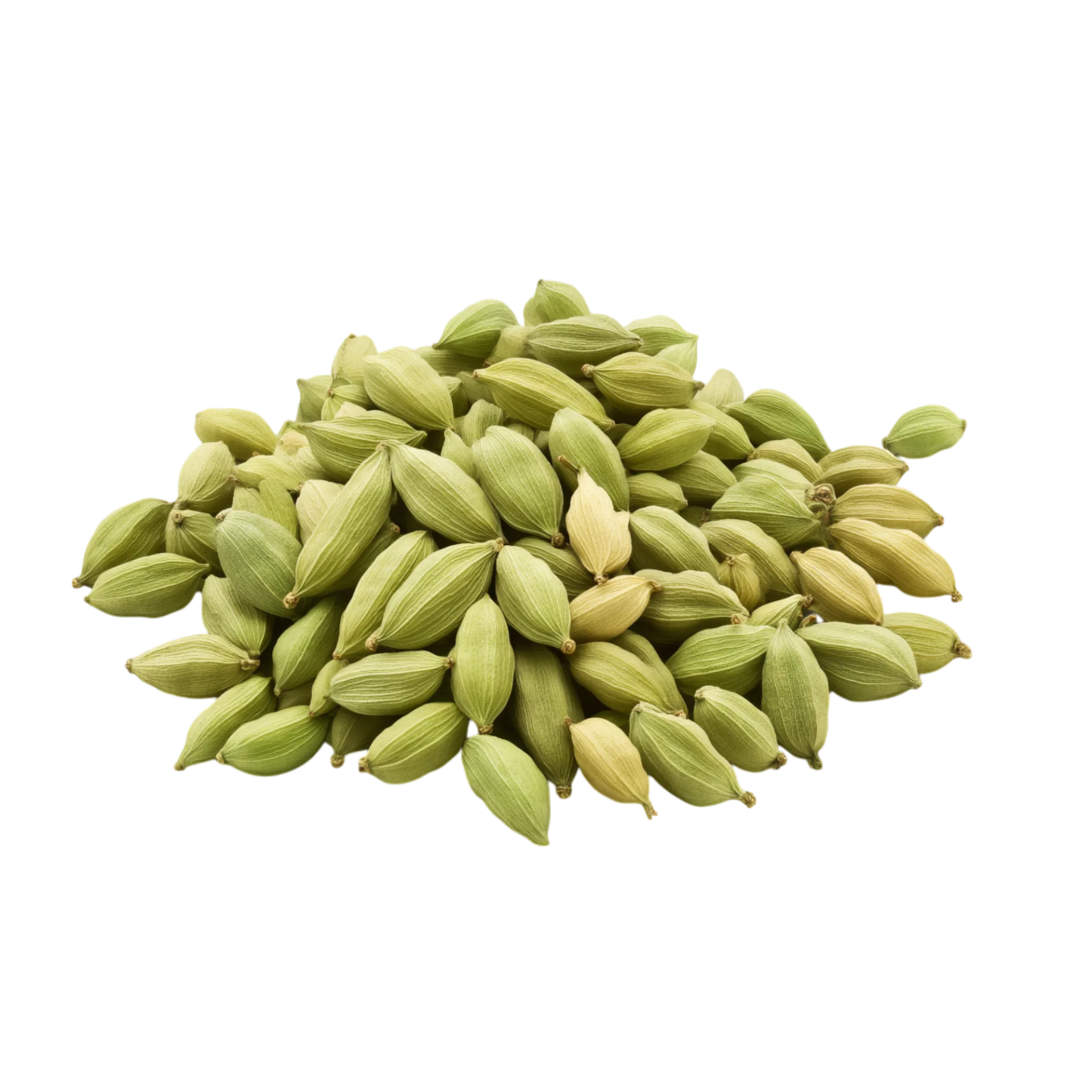 Cardamom