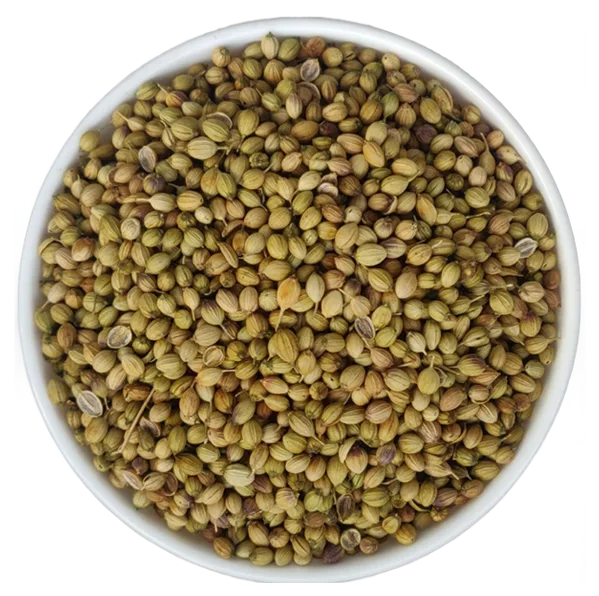 Coriander