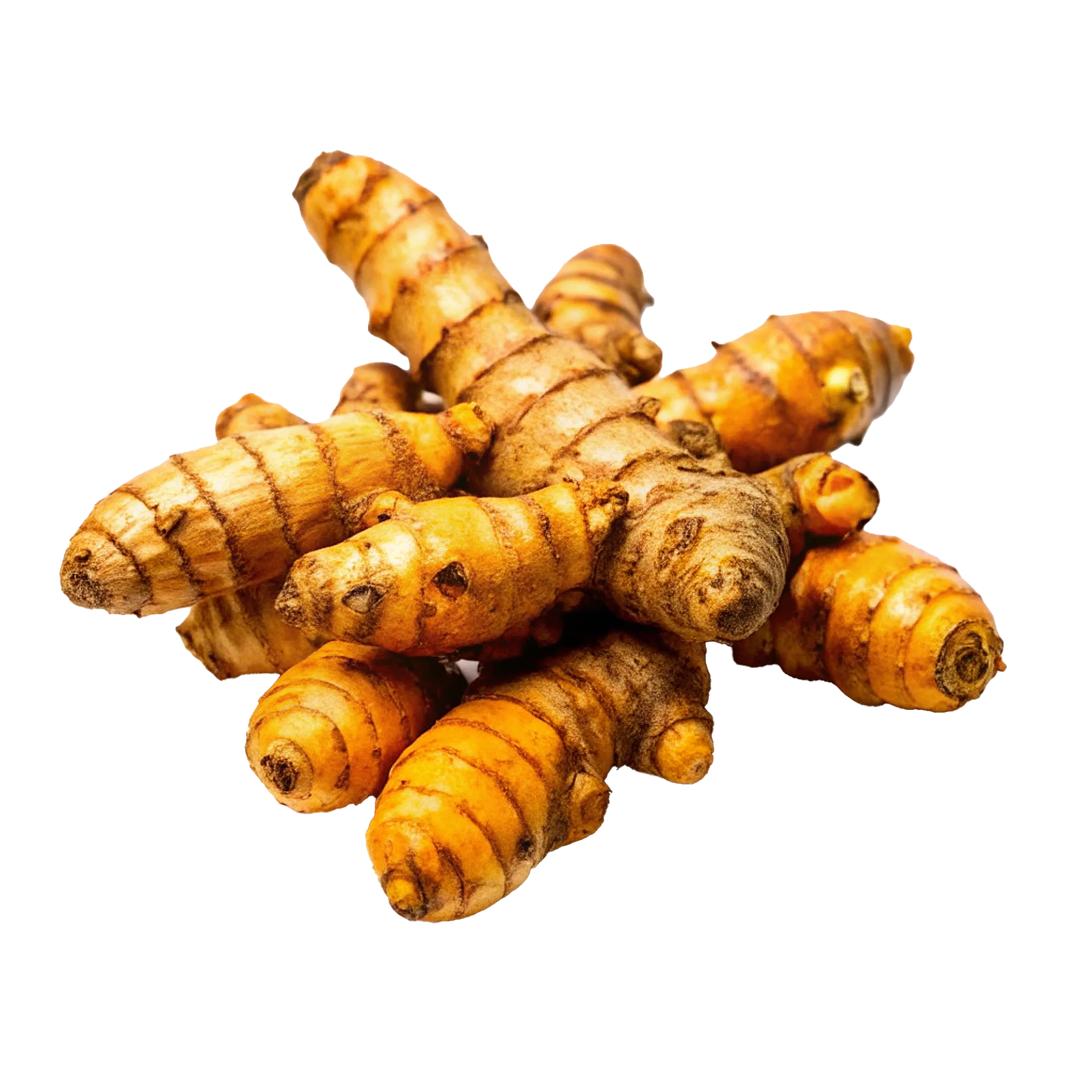 Turmeric